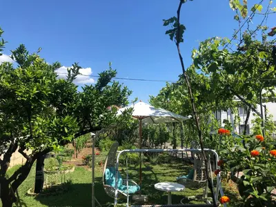 a garden with chairs and an umbrella and trees at Lavender Vacation Home, Bar in Bar