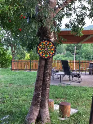 a dart board on a tree in a yard at T&A Apartment in Rijeka Crnojevića