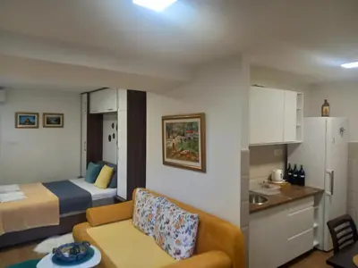 a small room with a bed and a couch and a kitchen at T&A Apartment in Rijeka Crnojevića
