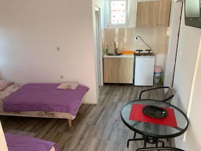 a small room with a bed and a table and a kitchen at Saša Apartments in Sutomore