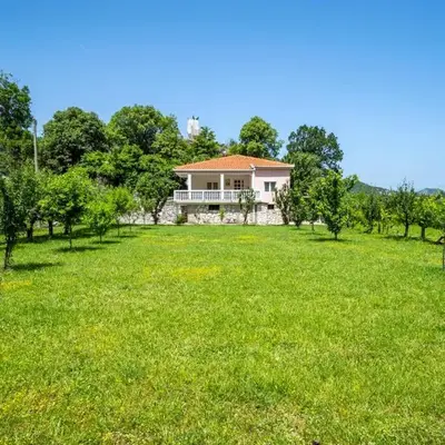 House Gorica