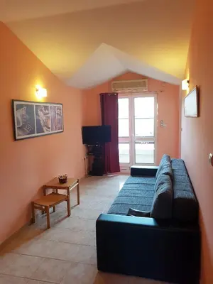 a living room with a couch and a tv at Apartment Danijela in Budva