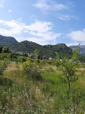 a field of grass with mountains in the background at 