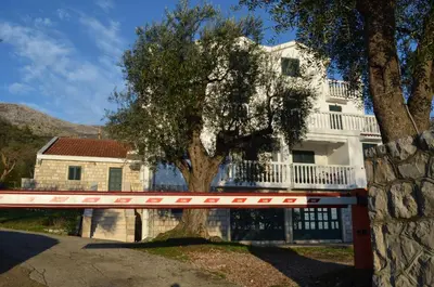 a white house with a tree in front of it at Apartments TMV Dragovic in Sveti Stefan