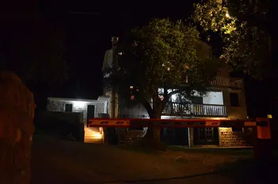 a tree in front of a building at night at Apartments TMV Dragovic in Sveti Stefan