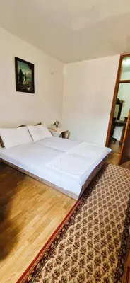 a large bed in a bedroom with a rug at Biuk in Kotor