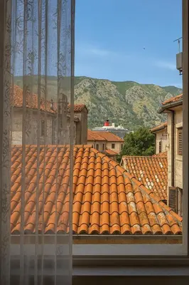 a view of a tile roof with mountains in the background at Biuk in Kotor