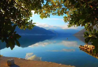 a view of a lake from a tree at Minka 2 in Kotor