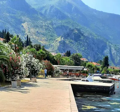 a marina with boats in the water and a mountain at Minka 2 in Kotor