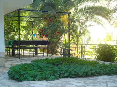a garden with red flowers and a bench at Apartments Villa Petranović in Budva