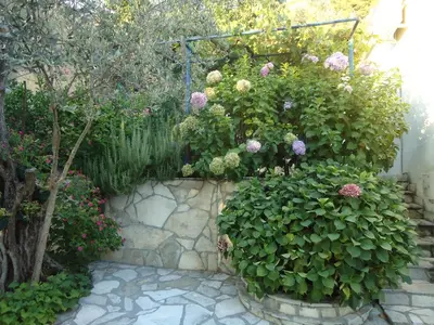 a garden with a bunch of plants and flowers at Apartments Villa Petranović in Budva