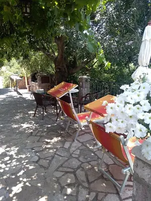 a table and chairs sitting under a tree at Apartments Villa Čučuk in Budva