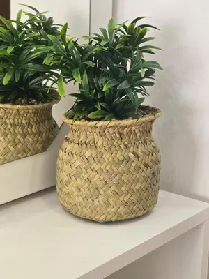 two plants in baskets sitting on a shelf at Apartments Mediteran in Ulcinj