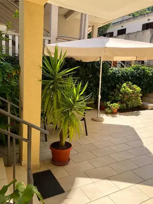 a patio with an umbrella and a potted plant at Villa Rihter in Budva