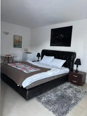 Gallery image of Apartmani Breze in Podgorica