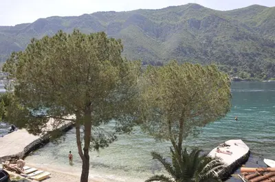 a beach with trees and a body of water at Apartments Vujošević in Kotor