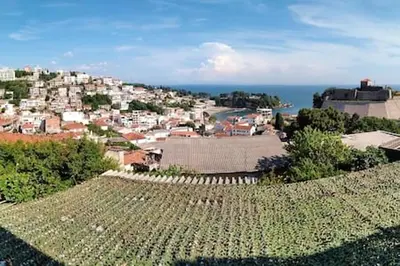 a view of a city with a town and the ocean at Comfortable Apartment in Ulcinj with Sea View and Garden in Ulcinj