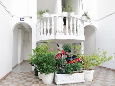 a scooter parked in a room with potted plants at Apartment Azalea of Budva in Budva