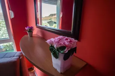 a vase of flowers sitting on a table in a room at Villla Elkom, App 10 in Ulcinj