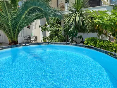 a large blue swimming pool in a yard with palm trees at Apartmani Avanti Becici in Becici