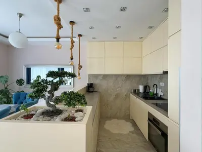 a kitchen with a bonsai tree in a island at Apartmani Avanti Becici in Becici