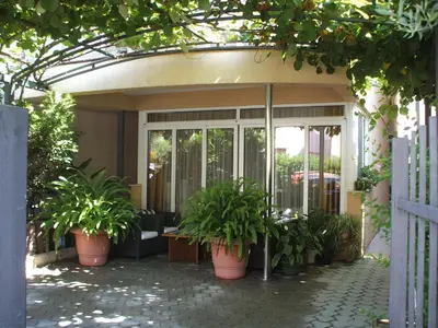 a patio with potted plants in front of a building at Egon Apartments in Budva