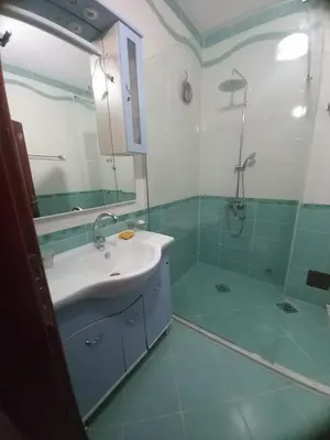 a bathroom with a sink and a shower at Villa Elkom, App.17 in Ulcinj