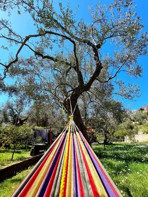 a tree with rainbow colored poles in front of a tree at Palm Point Apartment in Petrovac na Moru