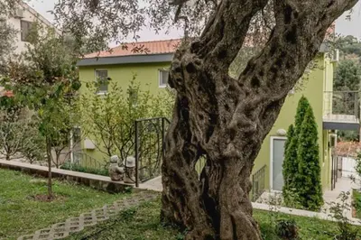 a tree in front of a yellow house at Olive Garden Apartment in Petrovac na Moru