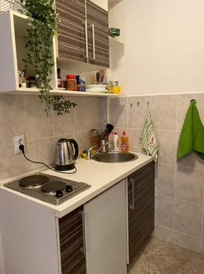 a small kitchen with a sink and a stove at Mint Apartment studio in Petrovac na Moru