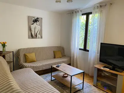 a living room with a couch and a tv at Forest house in Sutomore