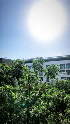 a white building with trees in front of it at Top-Top in Podgorica