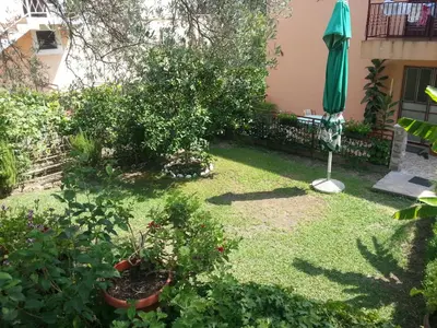 a garden with an umbrella and some plants at Apartments Kovačević in Petrovac na Moru