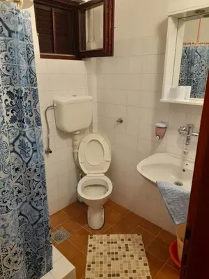 a bathroom with a toilet and a sink at Apartments Kovačević in Petrovac na Moru