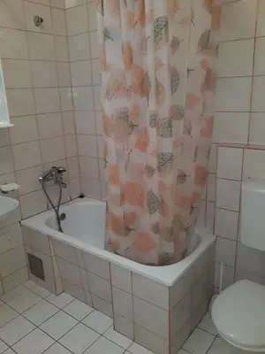 a bathroom with a shower curtain and a toilet at Apartments Đurašević Ivo in Sveti Stefan