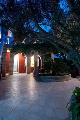 a courtyard with a large tree in a building at Apartments Boreta II in Budva