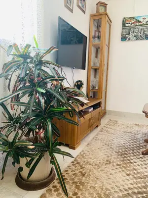 a living room with a potted plant in front of a tv at Gara 5 in Kotor