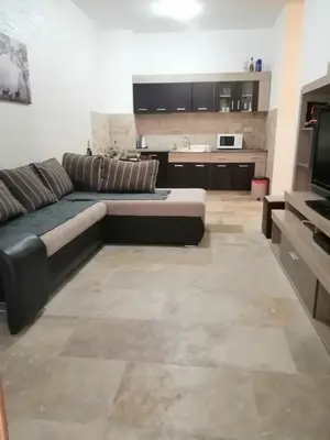 a living room with a couch and a kitchen at Apartman Sadutas in Rafailovici