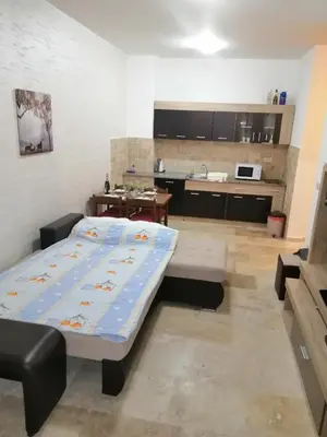 a large room with a bed and a kitchen at Apartman Sadutas in Rafailovici