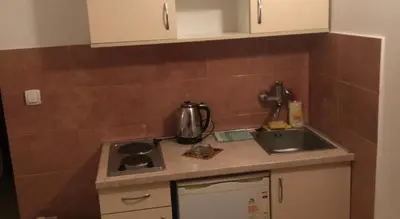 a small kitchen with a sink and a stove at SARA BUDVA in Budva