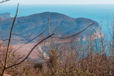 a mountain in the distance with a bunch of trees at Holiday Home Marija in Budva