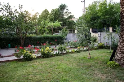 a garden with a bunch of flowers in a yard at Apartments Lazarević Sutomore in Sutomore