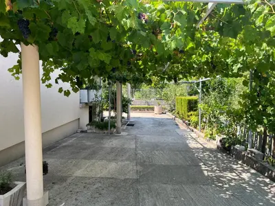 an empty courtyard with a bunch of green trees at NEÐO Apartments Brda in Tivat