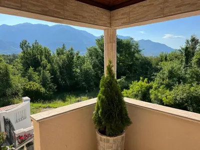 a potted tree on a balcony with a view at NEÐO Apartments Brda in Tivat