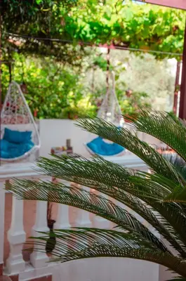 a table with a palm tree in front at Mediterranean Retreat Becici in Becici