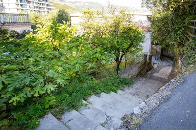 an alley with trees and bushes next to a building at Villa M&M in Budva
