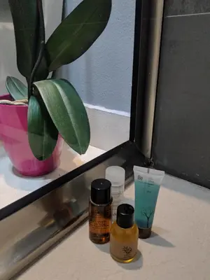 a window sill with two bottles and a potted plant at Casa Alea in Ulcinj