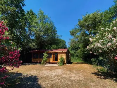 a cabin in the woods with trees and flowers at Sojenica Pustolov - Ada Bojana in Ulcinj