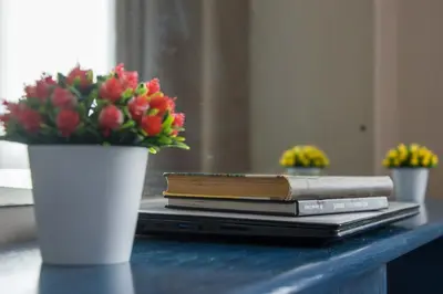a stack of books and a vase with flowers on a table at Ana's Place in Kotor