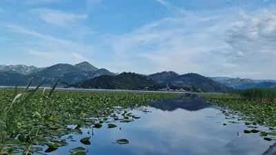 a body of water with mountains in the background at JOCKER in Virpazar
